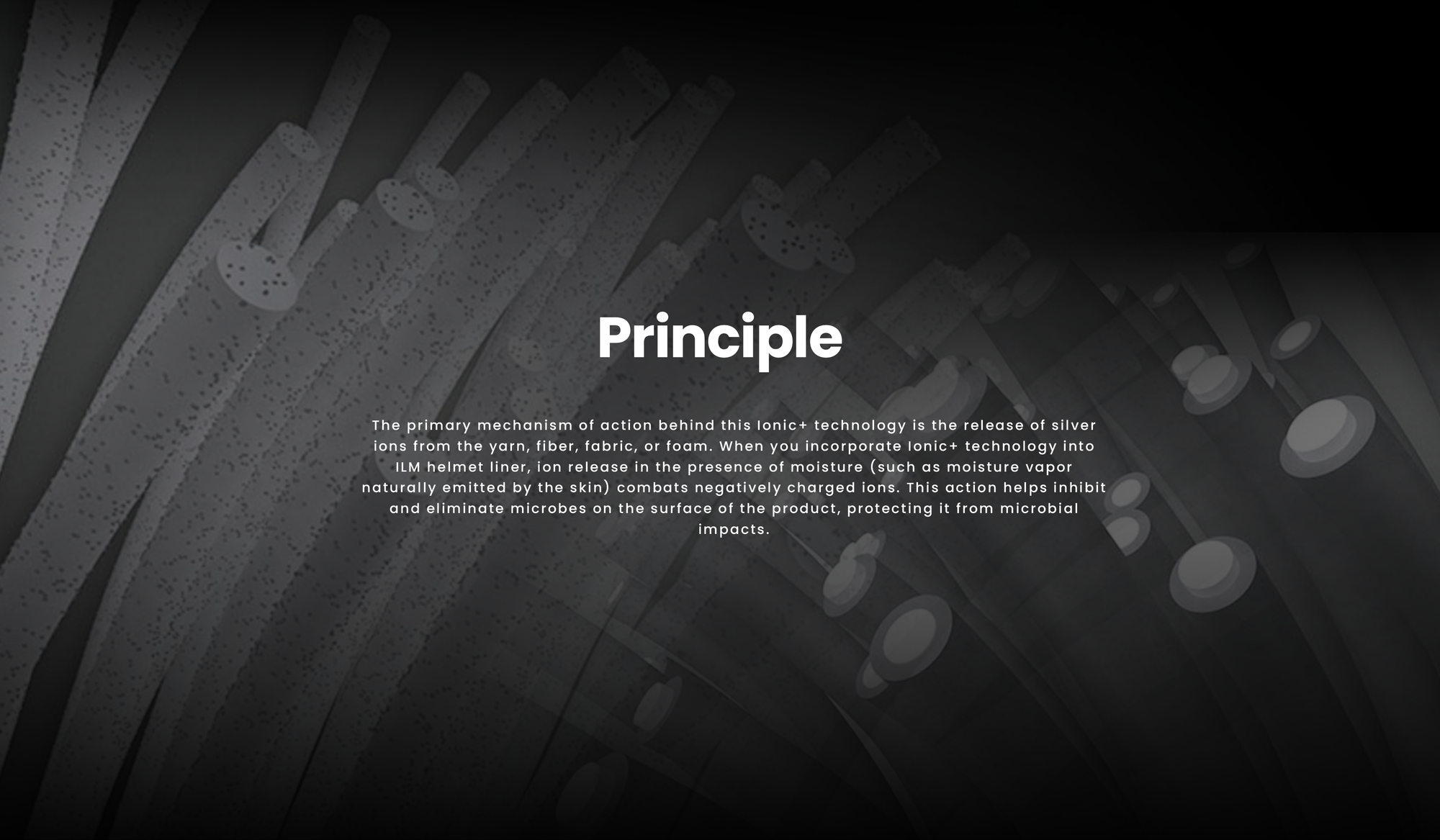 Slideshow Image 1