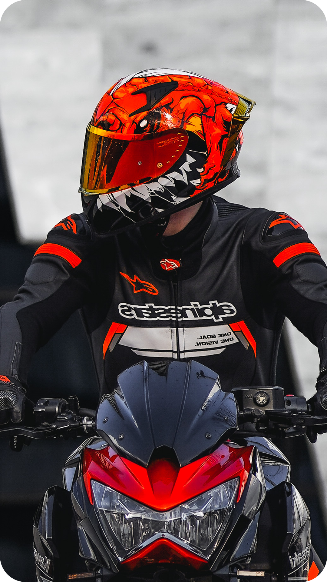 ILM Full Face Motorcycle Helmet Model Z501 Lizzard Red